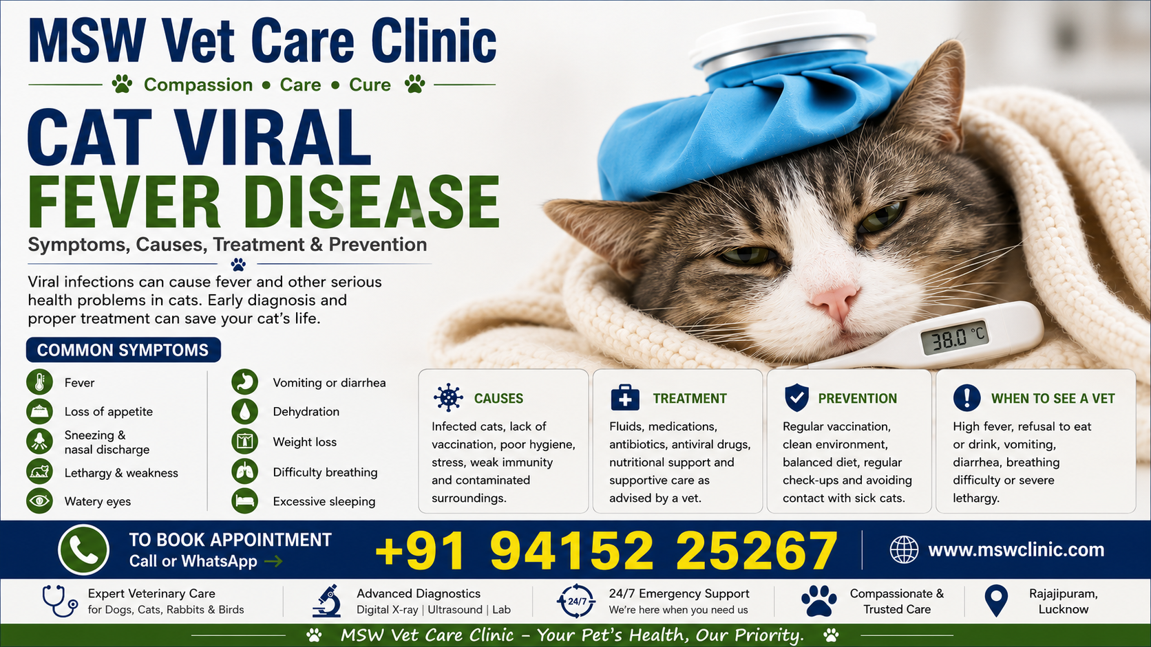 Cat Viral Fever: Signs, Causes & Treatment Guide | MSW Vet Care Clinic